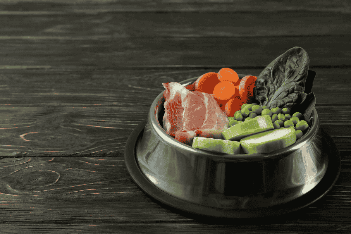 dog-neuter-surgery-food-guide