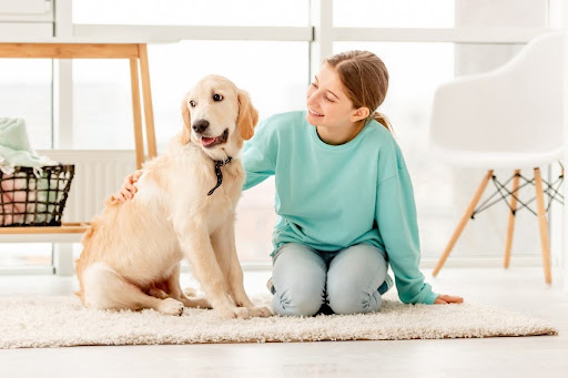 dog-breeds-that-form-strong-bonds-with-owners